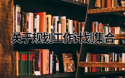 关于规划工作计划集合 (18篇）