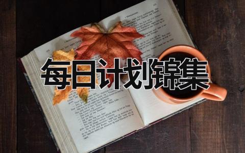 每日计划锦集 (17篇）