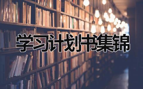 学习计划书集锦 (21篇）