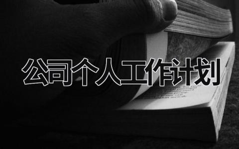 公司个人工作计划 (21篇）