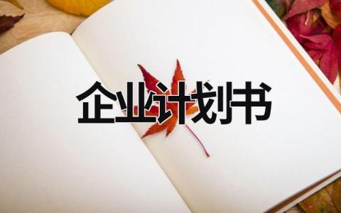 企业计划书 (20篇）