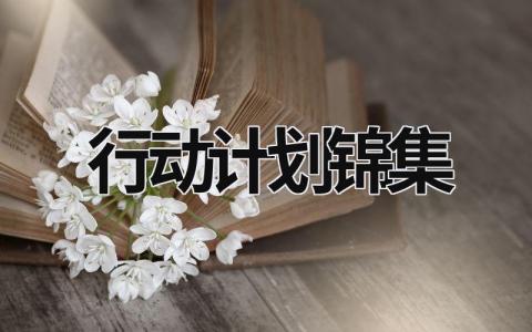 行动计划锦集 (20篇）