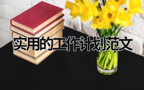 实用的工作计划范文 (16篇）