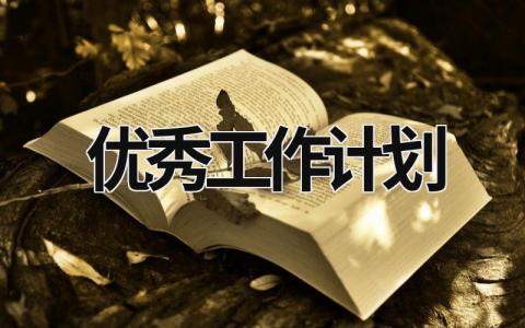 优秀工作计划 (20篇）