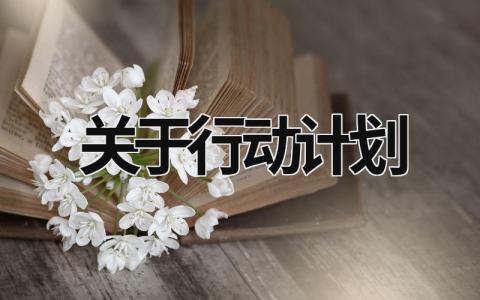 关于行动计划 (18篇）