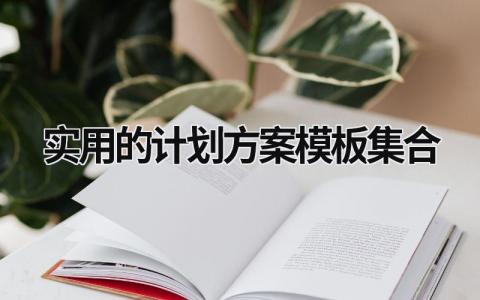 实用的计划方案模板集合 (17篇）