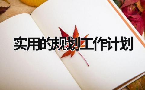 实用的规划工作计划 (15篇）