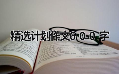 精选计划作文600字 (16篇）