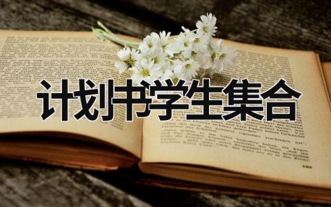 计划书学生集合 (15篇）