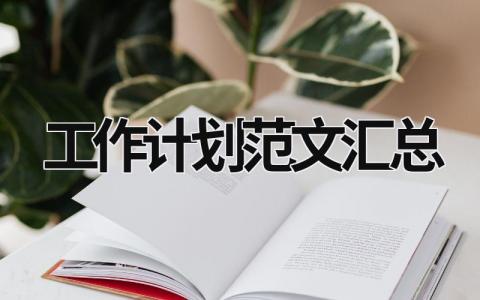 工作计划范文汇总 (18篇）