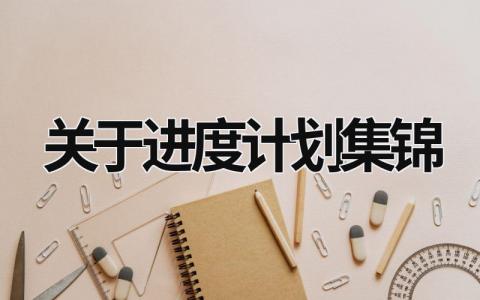 关于进度计划集锦 (15篇）