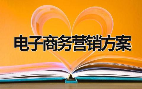 电子商务营销方案 (17篇）