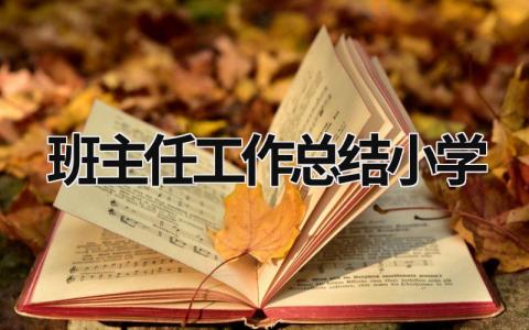 班主任工作总结小学 (20篇）