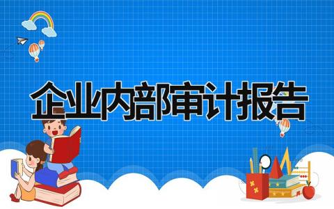 企业内部审计报告 (13篇）