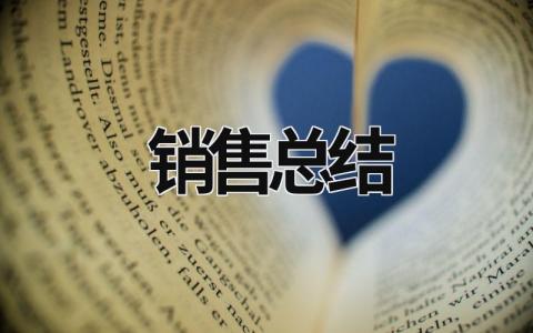 销售总结 (19篇）