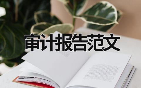 审计报告范文 (15篇）