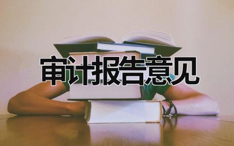 审计报告意见 (15篇）