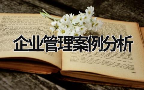 企业管理案例分析 (15篇）