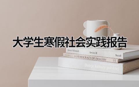 大学生寒假社会实践报告 (17篇）