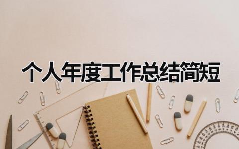 个人年度工作总结简短 (19篇）