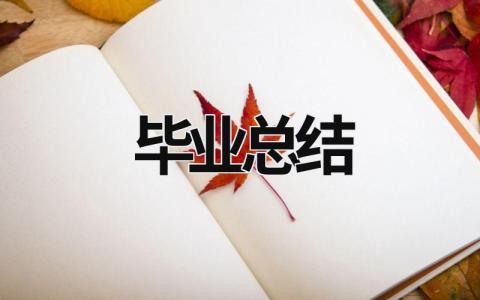 毕业总结 (21篇）