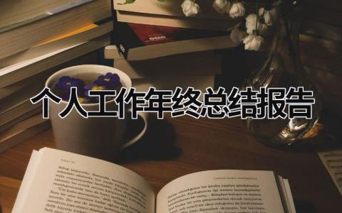 个人工作年终总结报告 (17篇）