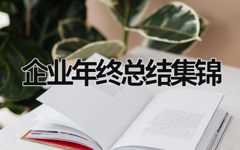 企业年终总结集锦 (15篇）