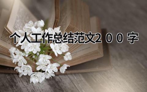 个人工作总结范文200字 (16篇）