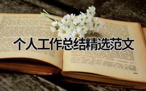 个人工作总结精选范文 (15篇）