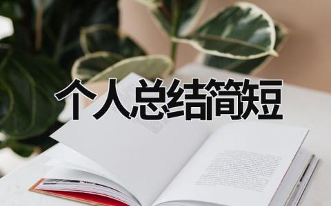 个人总结简短 (15篇）