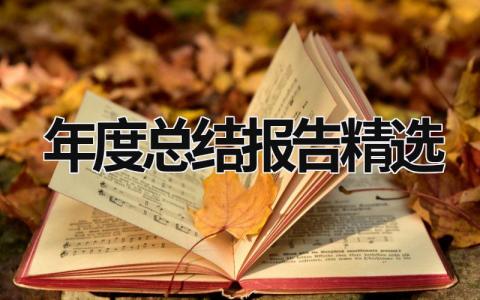 年度总结报告精选 (16篇）