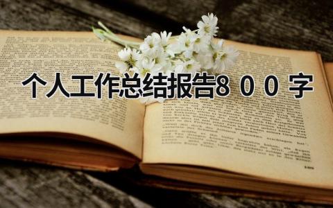 个人工作总结报告800字 (19篇）