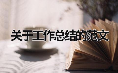 关于工作总结的范文 (18篇）