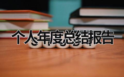 个人年度总结报告 (20篇）