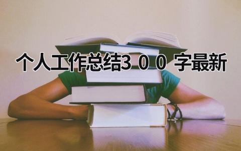 个人工作总结300字最新 (17篇）