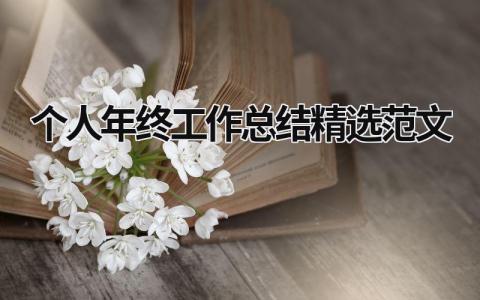 个人年终工作总结精选范文 (16篇）