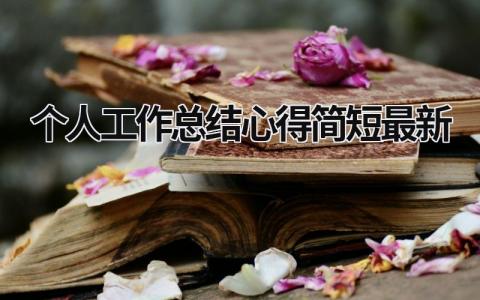 个人工作总结心得简短最新 (16篇）