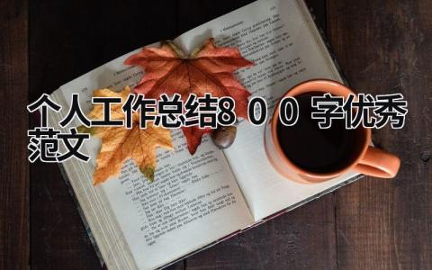 个人工作总结800字优秀范文 (17篇）