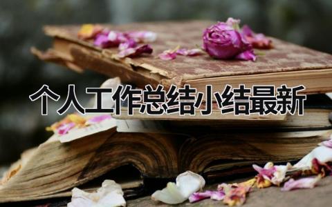 个人工作总结小结最新 (20篇）