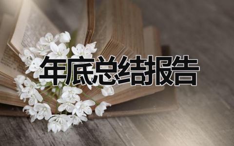 年底总结报告 (18篇）