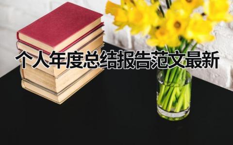 个人年度总结报告范文最新 (19篇）