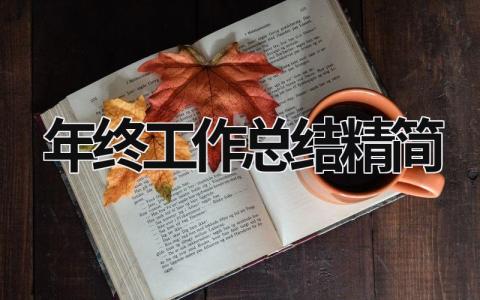 年终工作总结精简2023 (18篇）