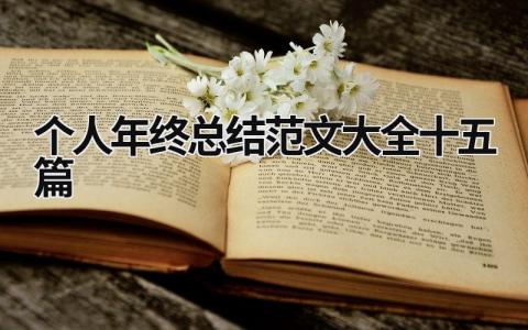 个人年终总结范文大全十五篇 (13篇）