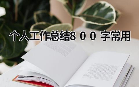 个人工作总结800字常用 (20篇）