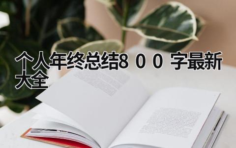 个人年终总结800字最新大全 (14篇）