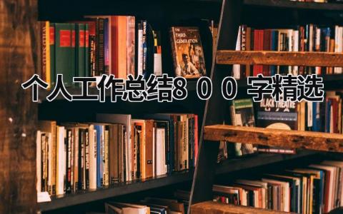 2023个人工作总结800字精选 (15篇）