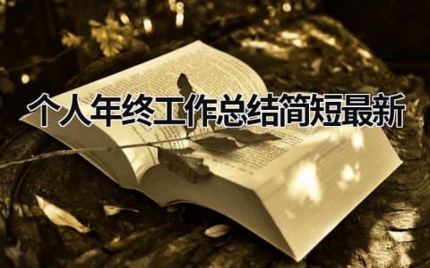 个人年终工作总结简短最新 (17篇）