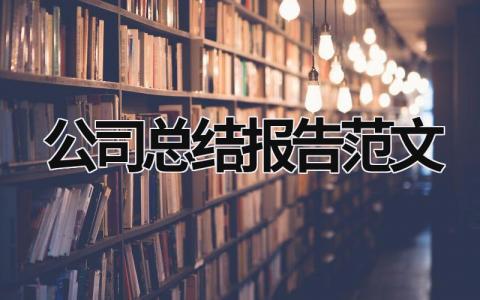 公司总结报告范文 (15篇）