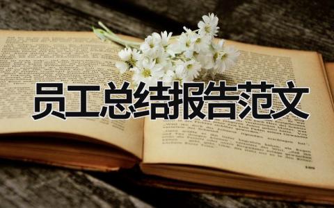 员工总结报告范文 (16篇）