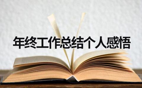 年终工作总结个人感悟 (15篇）